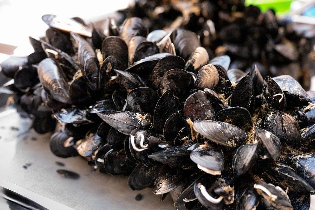 Building a Next-Generation Key-Value Store at Airbnb