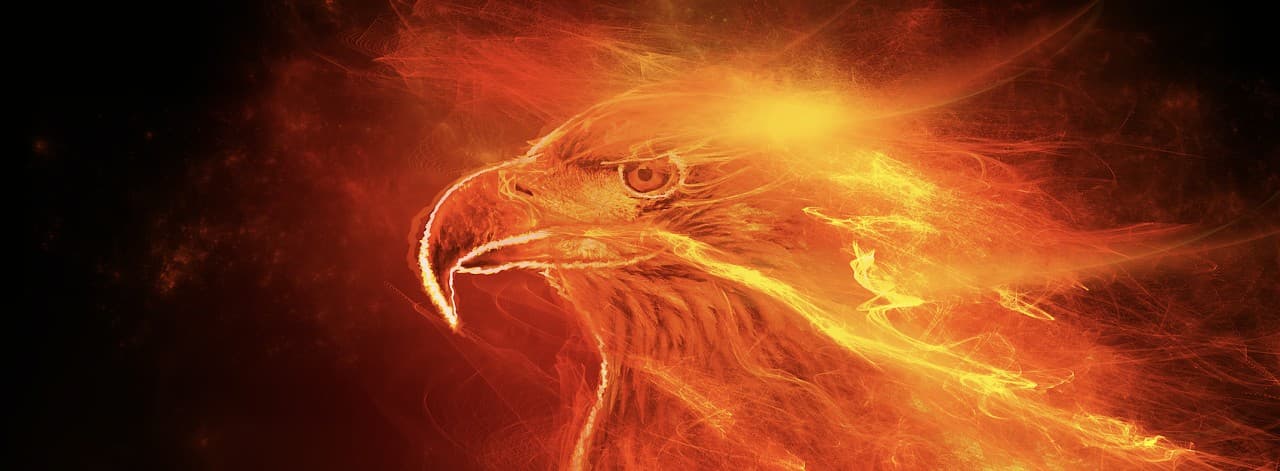 Interesting datasets to play with