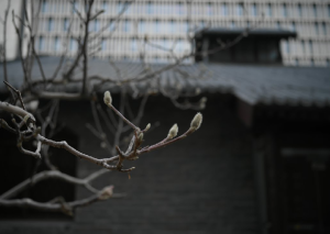 AWS Weekly Roundup: Amazon Bedrock agent workflows, Amazon SageMaker private connectivity, and more (February 2, 2026)