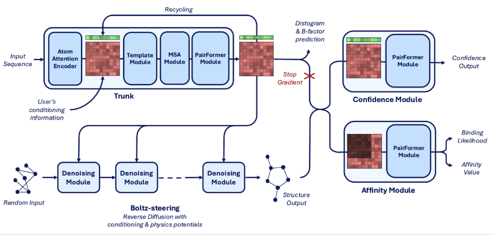 Predicting Molecular Binding Affinity with Boltz-2