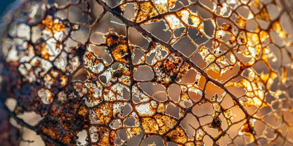 Exploring WebSocket Part 3: Handling Fragmentation